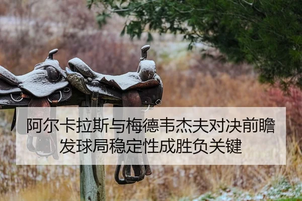 a-er-ka-la-si-yu-mei-de-wei-jie-fu-dui-jue-qian-zhan-fa-qiu-ju-wen-ding-xing-cheng-sheng-fu-guan-jian-2-324.jpg