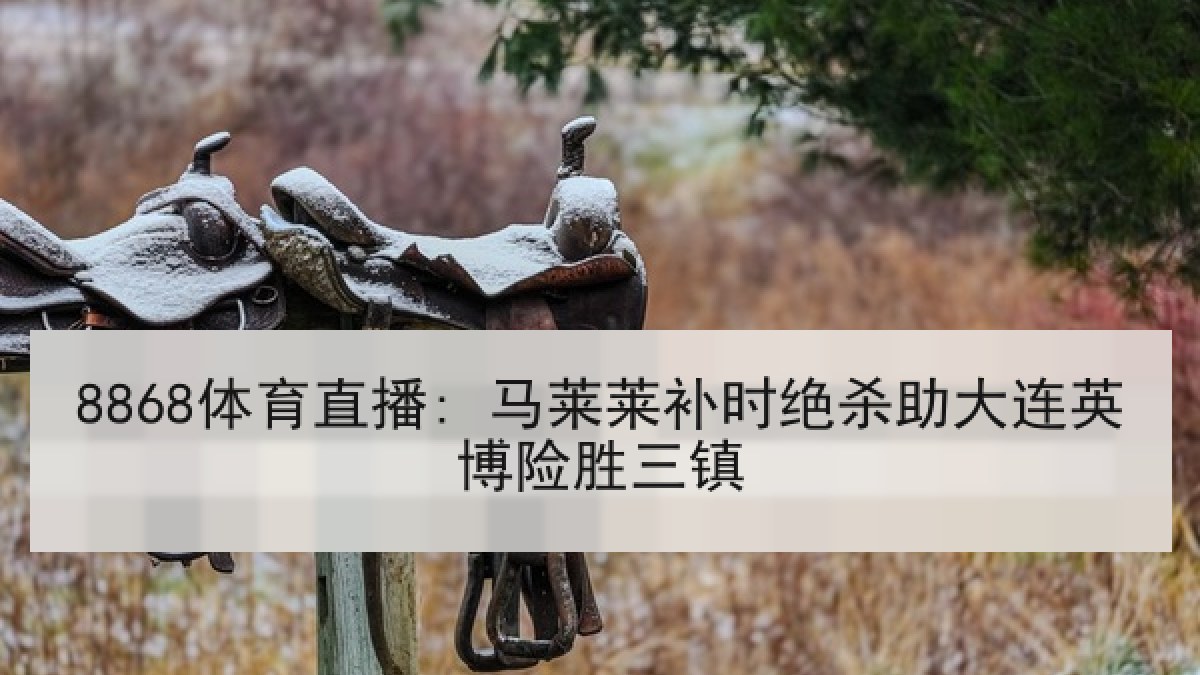 8868体育直播: 马莱莱补时绝杀助大连英博险胜三镇