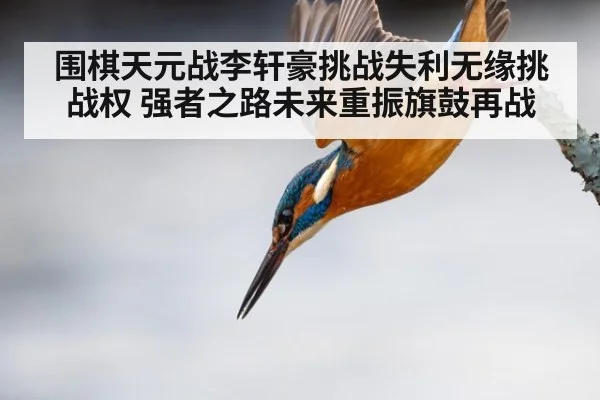 围棋天元战李轩豪挑战失利无缘挑战权 强者之路未来重振旗鼓再战
