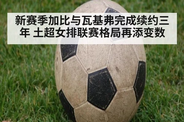 新赛季加比与瓦基弗完成续约三年 土超女排联赛格局再添变数