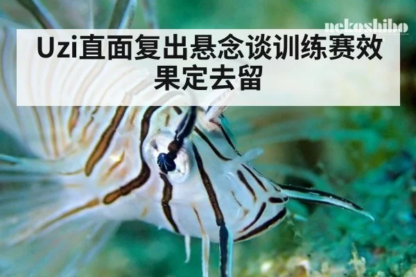 Uzi直面复出悬念谈训练赛效果定去留